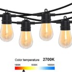 Festoon Lights 10m - Buy now from Celebration Warehouse