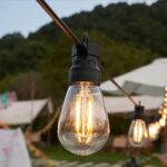 Festoon Lights 10m - Buy now from Celebration Warehouse