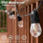 Festoon Lights 10m - Buy now from Celebration Warehouse