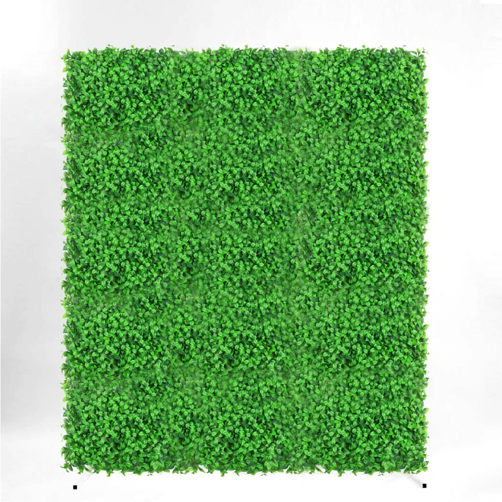 Box Hedge Greenery Wall + White Mesh Frame - (2m x 1.8m) - Buy now from Celebration Warehouse