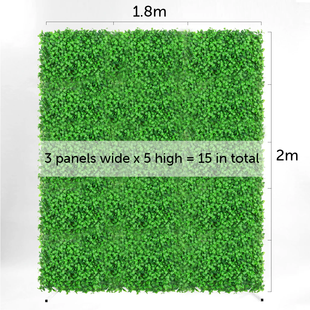 Box Hedge Greenery Wall + White Mesh Frame - (2m x 1.8m) - Buy now from Celebration Warehouse